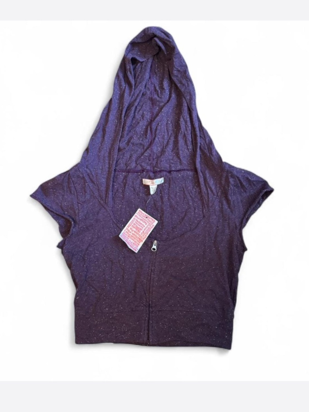 NWT Y2K urban outfitters crop hoodie